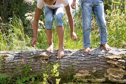 Kinderen in de natuur
