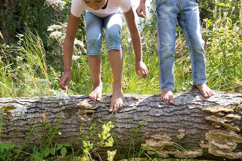 Kinderen in de natuur van Janine Bekker Photography