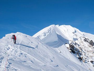 Haut de la d sur Menno Boermans