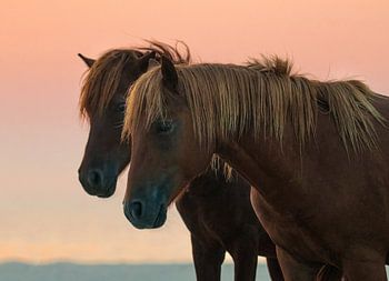 Regarder vers l'avenir