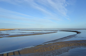 Groningen, De Dollard