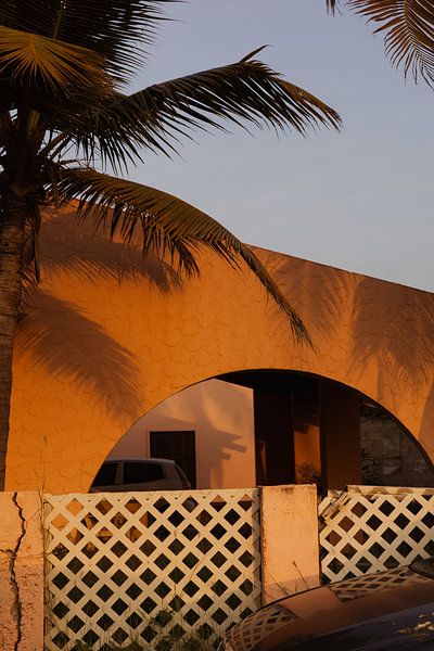 Bonaire van Elke van der Honing