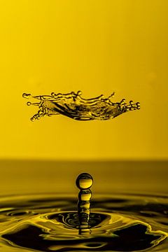 Waterparaplu van Thomas Riess