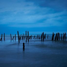 Blauer Morgen von Peter Verplancke