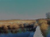 Weidsheid ervaring. (Nationaal Park Lauwersmeer.) van SydWyn Art thumbnail