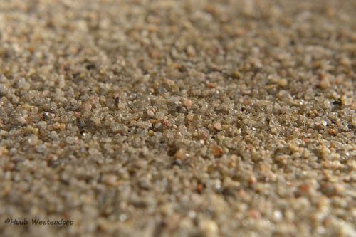 Sandy