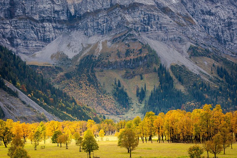 Érables du Großer Ahornboden en Autriche en automne avec une paroi rocheuse massive par Robert Ruidl