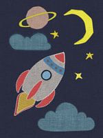 Rocket to the moon