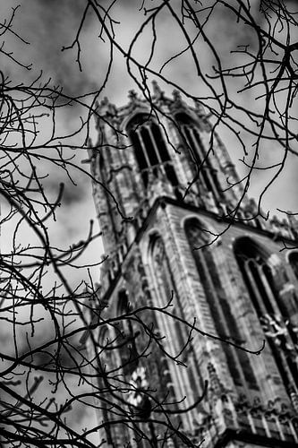 Die Kathedrale von Utrecht durch kahle Winterzweige gesehen (monochrom) von André Blom Fotografie Utrecht