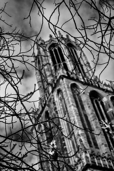Cathédrale d'Utrecht vue à travers les branches dénudées de l'hiver (monochrome) par André Blom Fotografie Utrecht