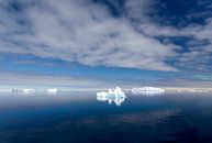 IJsschotsen op Antarctica van Angelika Stern thumbnail