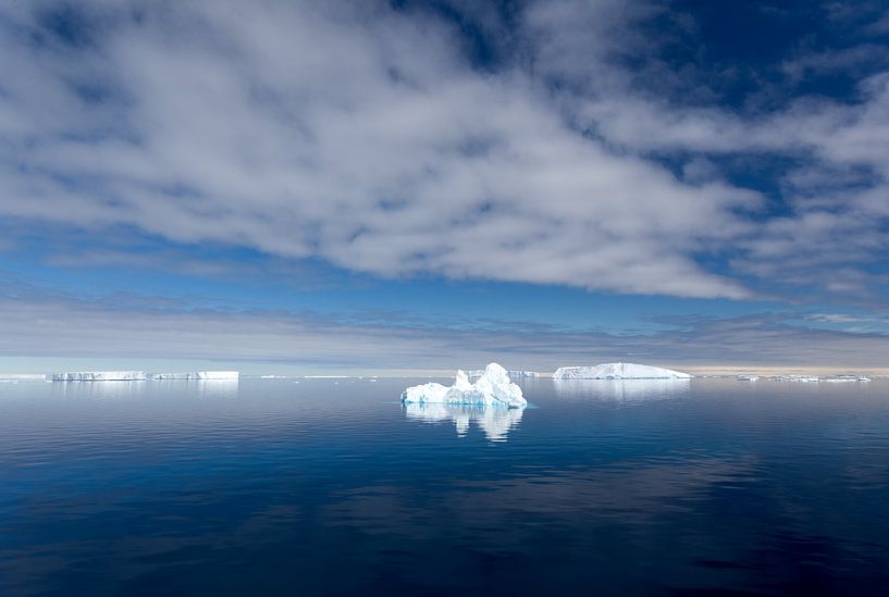 IJsschotsen op Antarctica van Angelika Stern