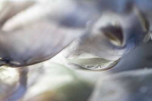 Kleine waterdruppel | Pastel bladeren | Macro Foto