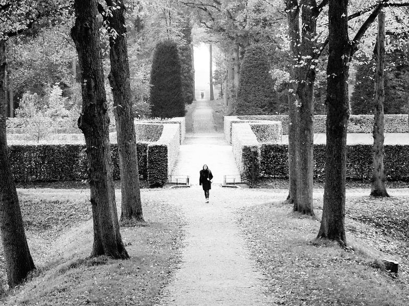 Walk a Park - Castle &quot;Bergh&quot; by Maurice Weststrate