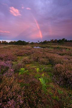 Rainbow in the Sky by Rob Christiaans