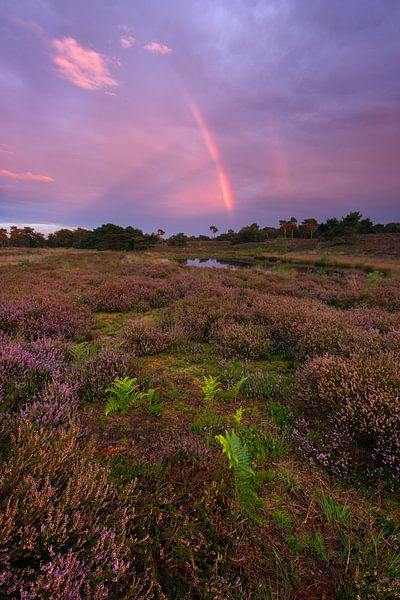 Rainbow in the Sky by Rob Christiaans