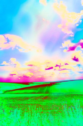 Kleurrijk zomerlandschap in huidige felle kleuren