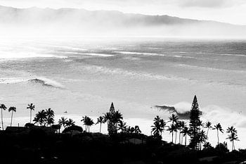 Waimea