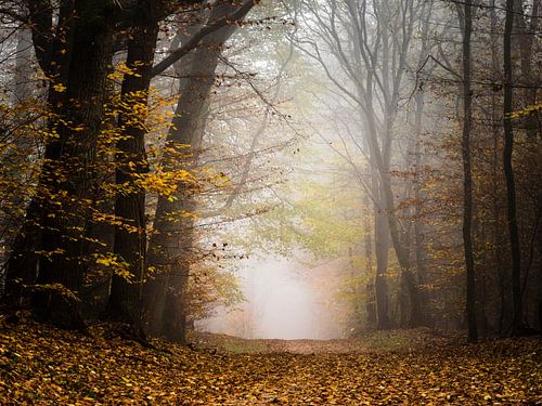Herbst Abenteuer