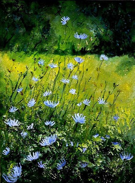 Blue cornflowers van pol ledent