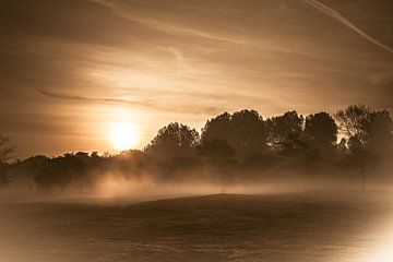 Zonsopkomst van Carla Eekels