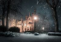 Winterse sferen bij kasteel de Schaffelaar