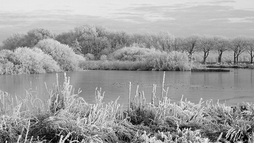 WINTER by Henny van den Berg