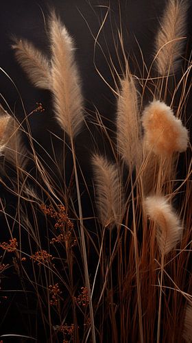 Silver Grass Plumes in the Morning Sun | Nature's Own Masterpiece in Motion