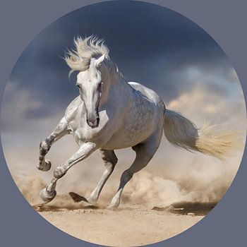 Galopperend paard