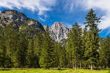 Paysage dans la vallée de Klausbach dans le Berchtesgadener Land en Bavière