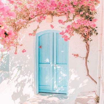 Flowering plants Door by Poster Art Shop