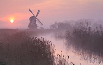 Purple Dawn by Sander van der Werf