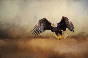 Der amerikanische Adler fliegt im Sturm