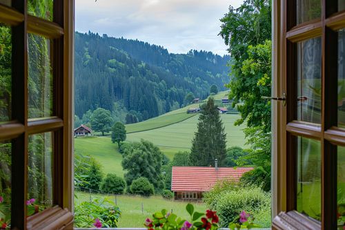 uitzicht uit het raam