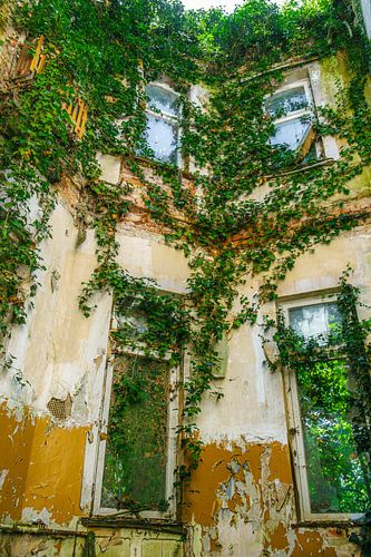 Enchanted castle - when nature embraces the walls