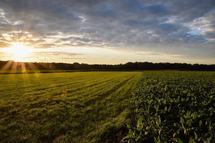 Coucher de soleil sur un paysage du Limbourg par Robin Verhoef