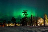 Les aurores boréales finlandaises par Guido Akster Aperçu