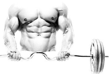 Bodybuilder / Weightlifter in High Key Black-White by Art By Dominic
