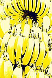 eine Bananenstaude in meinem Garten mixed media von Werner Lehmann