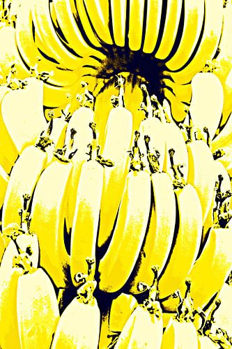 eine Bananenstaude in meinem Garten mixed media