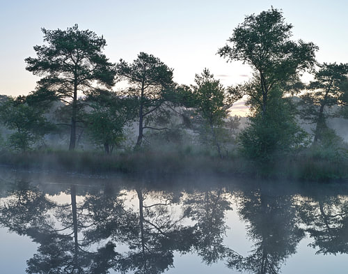 Lever du soleil à Brandeveen - Holtingerveld - Drenthe (Pays-Bas)