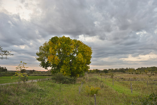 Coucher de soleil automnal dans le parc naturel de Barnim