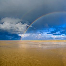 Arc-en-ciel à la plage sur l'île de Texel dans la région de la mer des Wadden sur Sjoerd van der Wal Photographie