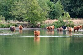 cooling down . by Hilda booy