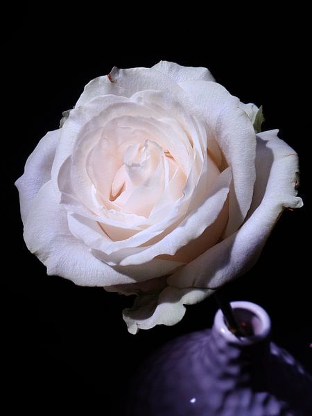 romantic by Jonathan Kremer