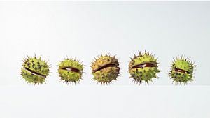 Cinq d'affilée