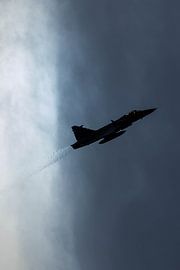 Le Saab JAS 39 Gripen dans « Tegenlicht »