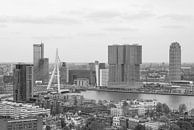 De Wilhelminapier in Rotterdam van MS Fotografie | Marc van der Stelt thumbnail