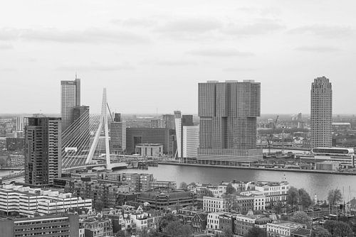 Le Wilhelmina Pier à Rotterdam