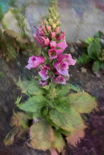 Foxglove peinte numériquement.